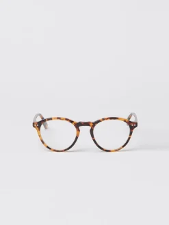 Lansing Readers In Tortoise