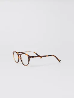 Lansing Readers In Tortoise